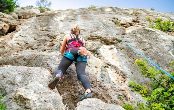 best-Climbing-Harness
