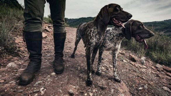 Rubber-Hunting-Boots