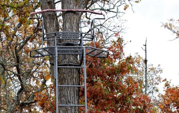 Best 2 Man Tree Stand