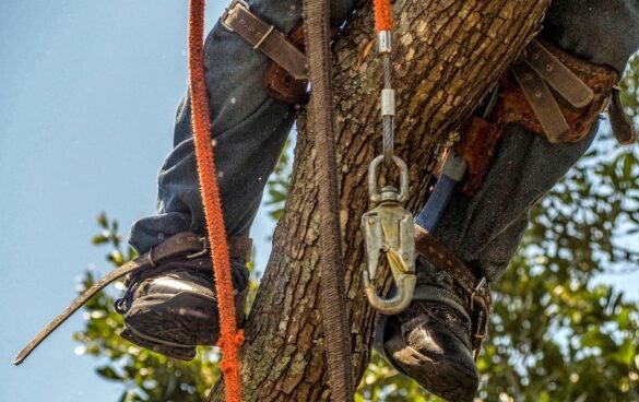 best Tree Climbing Boots