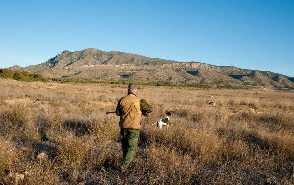 Public Land Hunter