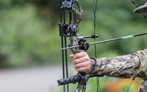 Bow Hunting Tips